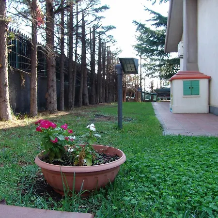 Magnolia