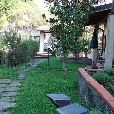 Magnolia Nicolosi